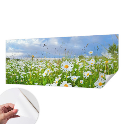 Papier peint panoramique adhésif Letná lúka
