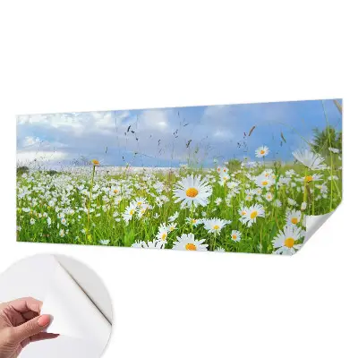 Papier peint photo grand format pour le mur prairie d'été