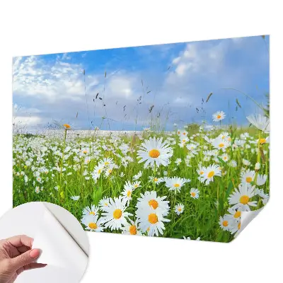 Papier peint photo grand format pour le mur prairie d'été