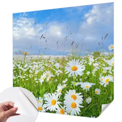 Papier peint photo grand format pour le mur prairie d'été