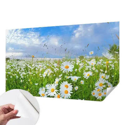 Papier peint photo grand format pour le mur prairie d'été
