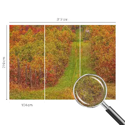 Papier peint photographique sur tissu non tissé couleurs d'automne