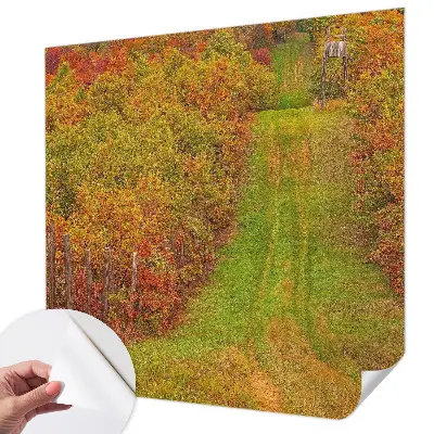 Papier peint photographique sur tissu non tissé couleurs d'automne