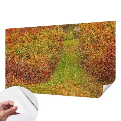 Papier peint photographique sur tissu non tissé couleurs d'automne
