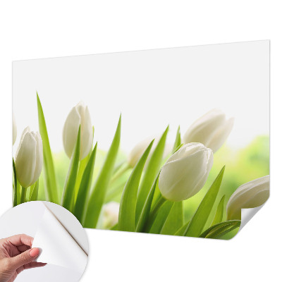 Papier peint chambre ado Biele tulipány