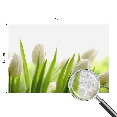 Papier peint photographique sur tissu non tissé Tulipes blanches