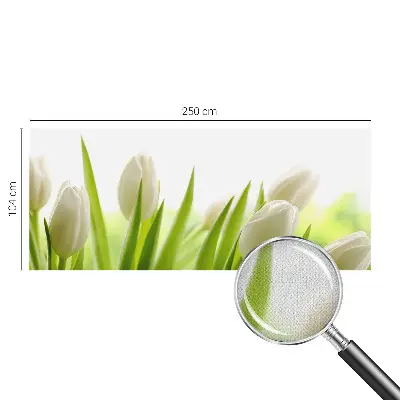 Papier peint photographique sur tissu non tissé Tulipes blanches