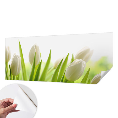 Papier peint chambre ado Biele tulipány