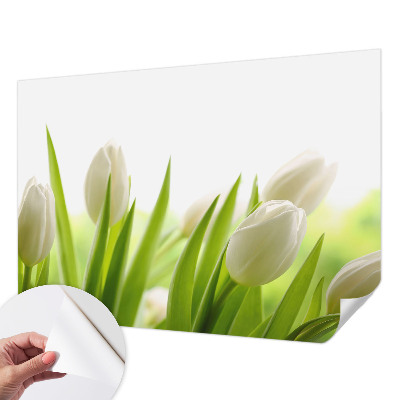Papier peint chambre ado Biele tulipány