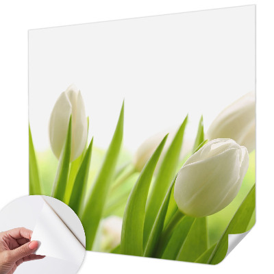 Papier peint chambre ado Biele tulipány