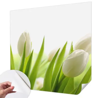 Papier peint photographique sur tissu non tissé Tulipes blanches