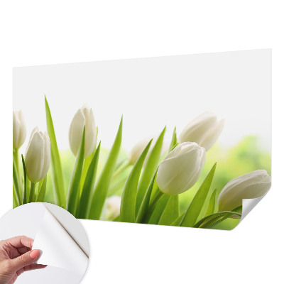Papier peint chambre ado Biele tulipány