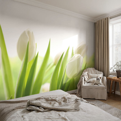 Papier peint chambre ado Biele tulipány