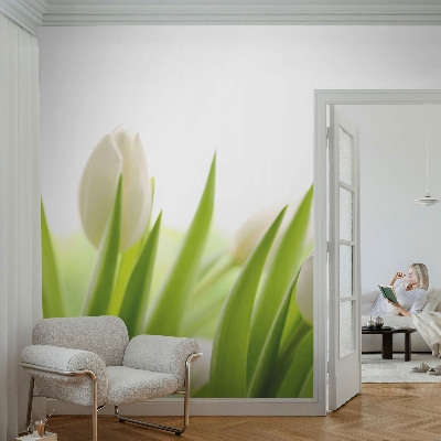 Papier peint chambre ado Biele tulipány