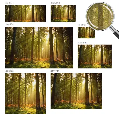 Papier peint intissé imprimé Matin en forêt