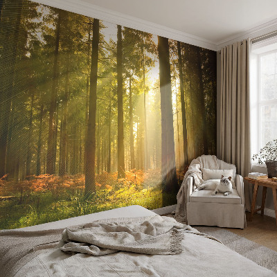Papier peint chambre garçon Lesné ráno