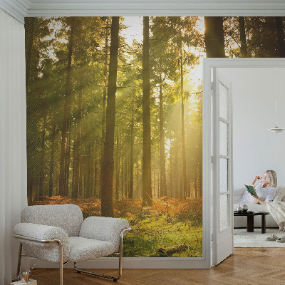 Papier peint chambre garçon Lesné ráno