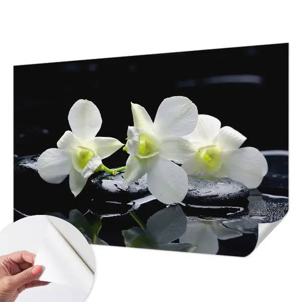 Papier peint photo sur tissu non tissé Fleurs et pierres