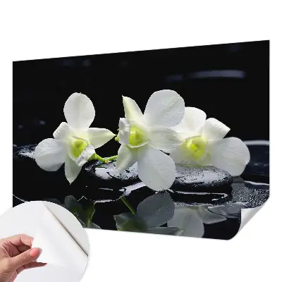 Papier peint photo sur tissu non tissé Fleurs et pierres