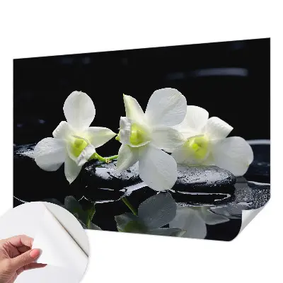 Papier peint photo sur tissu non tissé Fleurs et pierres
