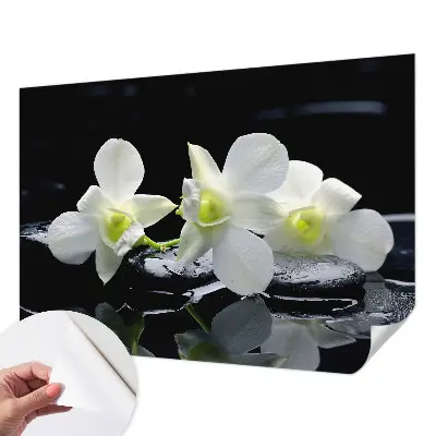 Papier peint photo sur tissu non tissé Fleurs et pierres