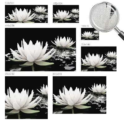 Papier peint photographique intissé fleurs aquatiques