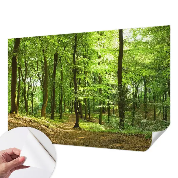 Papier peint photo sur tissu non tissé Chemin naturel