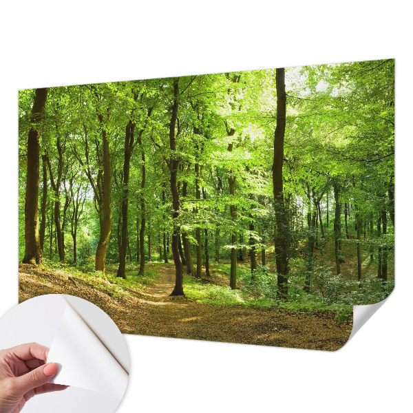 Papier peint photo autocollant Prirodzená cesta