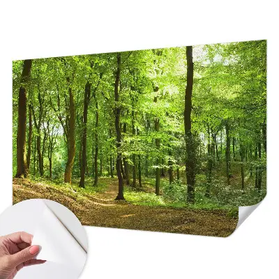 Papier peint photo sur tissu non tissé Chemin naturel