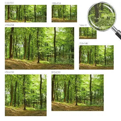 Papier peint photo sur tissu non tissé Chemin naturel