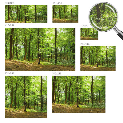Papier peint photo autocollant Prirodzená cesta