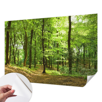 Papier peint photo autocollant Prirodzená cesta