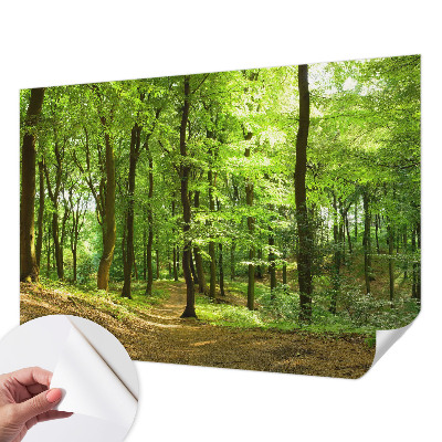 Papier peint photo autocollant Prirodzená cesta