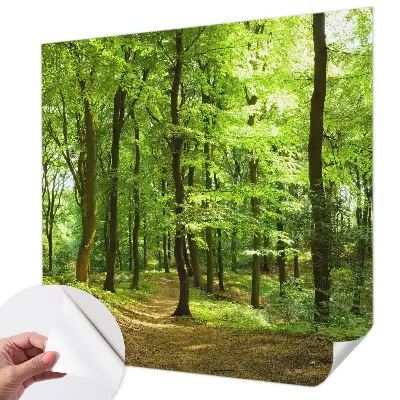 Papier peint photo sur tissu non tissé Chemin naturel