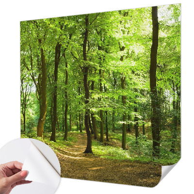 Papier peint photo autocollant Prirodzená cesta