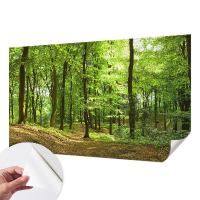 Papier peint photo autocollant Prirodzená cesta