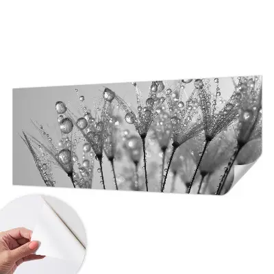 Papier peint photo imprimé sur tissu non tissé Délice humide