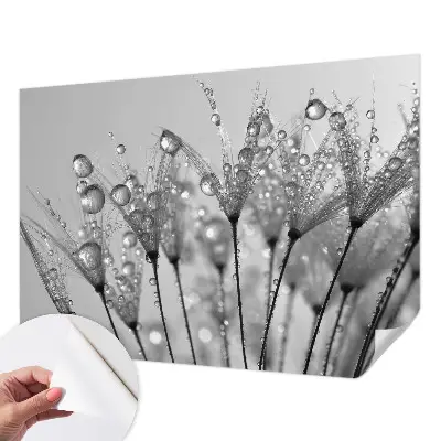 Papier peint photo imprimé sur tissu non tissé Délice humide