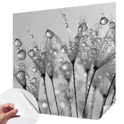 Papier peint photo imprimé sur tissu non tissé Délice humide