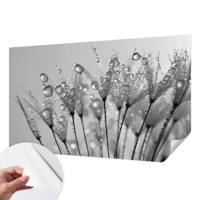 Papier peint photo imprimé sur tissu non tissé Délice humide