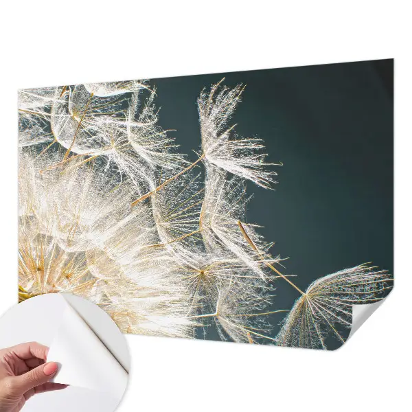 Papier peint photo imprimé sur tissu non tissé Pissenlit de légèreté