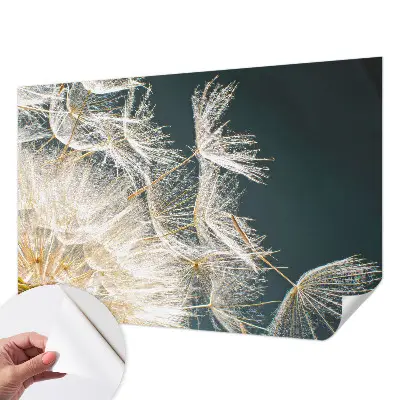 Papier peint photo imprimé sur tissu non tissé Pissenlit de légèreté