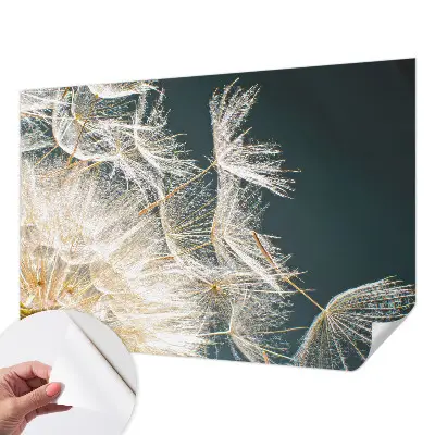 Papier peint photo imprimé sur tissu non tissé Pissenlit de légèreté