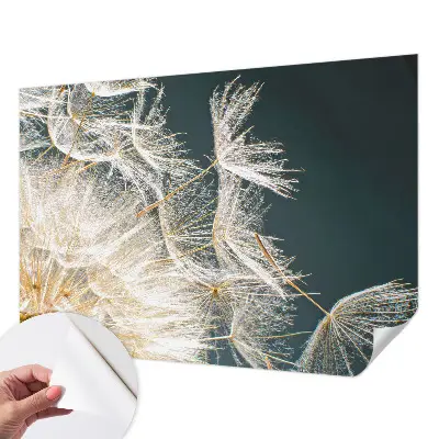 Papier peint photo imprimé sur tissu non tissé Pissenlit de légèreté