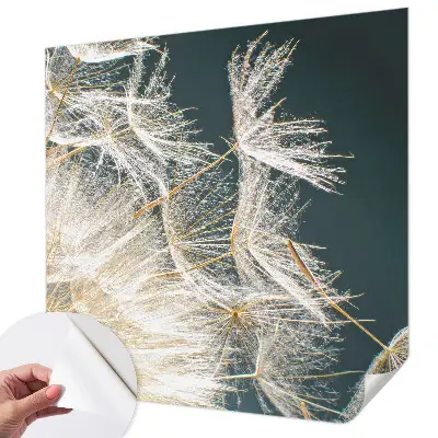 Papier peint photo imprimé sur tissu non tissé Pissenlit de légèreté