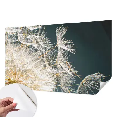 Papier peint photo imprimé sur tissu non tissé Pissenlit de légèreté