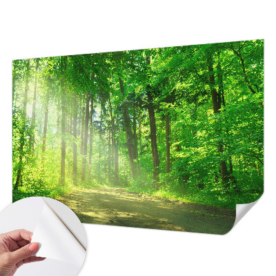 Papier peint chambre parentale Lesný chodník
