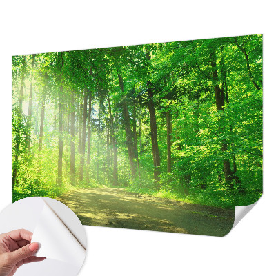 Papier peint chambre parentale Lesný chodník