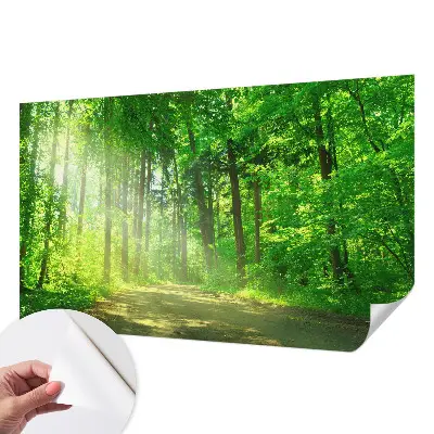 Papier peint photo imprimé sur tissu non tissé Chemin forestier