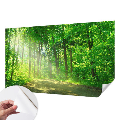 Papier peint chambre parentale Lesný chodník
